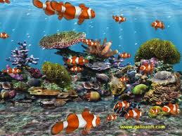We've gathered more than 5 million images uploaded by our users and sorted them by the most popular ones. Moving Fish Wallpapers Free Moving Fish Wallpaper Download Wallpapertip