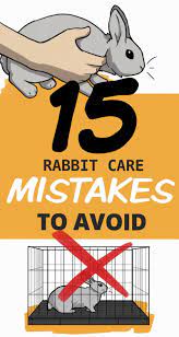 Pin On Wabbit Season