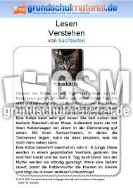 Kostenlose übungsblätter für das fach deutsch klasse 5 und klasse 6. Hauskatze Sachtext Sachtexte Tiere Sachtexte Lesen Deutsch Klasse 3 Grundschulmaterial De