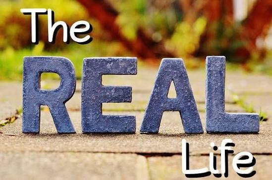 10,000+ Free Real Life & Nature Images - Pixabay