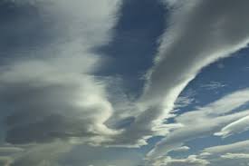 Image result for Caldesia parnassifolia