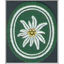 Kokarde, schwerter & edelweiss aus metall. Abzeichen Bw Gebirgsjager Edelweiss Outdoorfan De Bundeswehr Shop 3 90