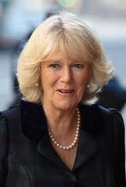 Amy Wilton from Hampshire has World Diabetes Day royal date with the  Duchess of Cornwall