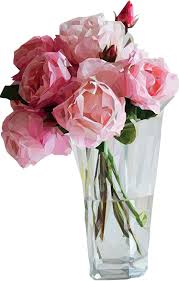 Per evitare la loro formazione, la cosa ideale è recidere l'infiorescenza non appena si forma. Wanddtattoo Polygoniale Rosen Im Glas Tenstickers