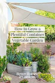 Here S How To Grow A Plentiful Vegetable Garden In A Container Home Grown Vegetables Growing Vegetables Home Vegetable Garden