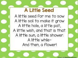 Plant Poem A Poem For Learning About Plants Flowers And Gardens Cyclingforbeginnerswebsite Kindergarten Smorgasboard Preschool Songs Kindergarten Poems
