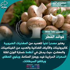 فوائد الفطر vegetables stuffed mushrooms food