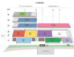 コロナ禍の中京競馬場の指定席 | 競馬大好き温泉大好き日記♪