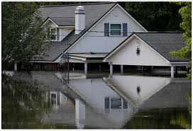 Storms may be a bit more traumatic for some people, but regardless of the. The 17 Most Important Things To Do When Your House Floods July 2021