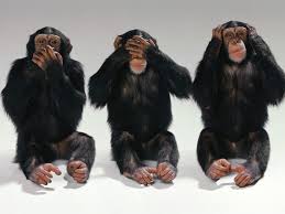 See No Evil Hear No Evil Speak No Evil Monkeys Apes Monkeys And A Stoopid Monkey Monkeys Funny Three Wise Monkeys Wise Monkeys