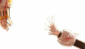 Imagenes Izuku X Ochako Kingdom Hearts Anime My Hero My Hero Academia Shouto