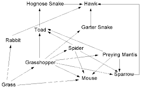 Ecosystems