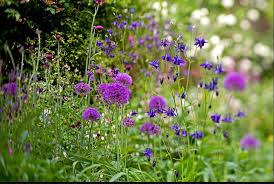 Maybe you would like to learn more about one of these? Willow Tree Gardening Home Facebook