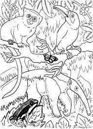 Here is a great coloring worksheet that doubles as a memory matching game! Animals In Amazon Rainforest Coloring Pages Coloring4free Coloring4free Com