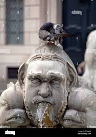 Pigeon rome Banque de photographies et d'images à haute résolution