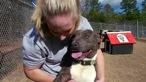 Animal Services Athens Clarke County Ga Official Website