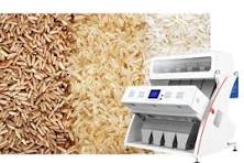 High-Accuracy Rice Color Sorter Machine | Skysorter