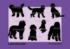 Download Labradoodle Silhouette Svg Dog Vector Graphic Art Labradoodle Etsy