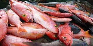 Namun, buaya itu terus saja melawan sehingga dua jari tangan kanan iskandar pun putus dibuatnya. 8 Jenis Ikan Ini Kerap Dijadikan Bahan Kerupuk Enak Semua
