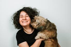 Here at companion animal hospital, we have been providing the highest quality medical care to the pets of the hillsboro area for over 30 years. Best Veterinary Hospital In Baton Rouge La O Neal Lane Pet Hospital