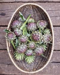 Check spelling or type a new query. Lamb And Artichoke Tagine Mrs Portly S Kitchenmrs Portly S Kitchen