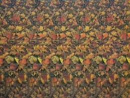 Browse 106,374 hidden image stock photos and images available, or search for optical illusion or reveal to find more great stock photos and pictures. Can You See The Hidden Image Illusion Pictures Magic Eye Pictures Optical Illusions Pictures