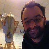 Since it takes more years than we can count to create real fossils, we can make fun fossil prints using these instructions using objects like seashells. What An Unusual Fossil Reveals About Parental Care Among Pre Mammalian Ancestors