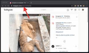 With igram you can download a single posts image as well as download multiple instagram photos. Instasave Instagram Downloader Online