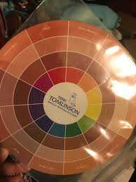 Terri Tomlinson Flesh Tone Color Wheel In 2021 Skin Color Chart Concealer Color Wheel Hair Color Wheel