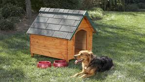 Building an attractive and safe dog house doesn't have to be a complicated project. Diy Dog House Ideas Top Dog Home Pro