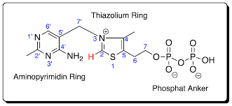 Maybe you would like to learn more about one of these? Forschung Ak Muller Pharmazeutische Und Medizinische Chemie