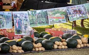 From globaltableadventure.com tongan potato / tongan potato : Samoa Observer Tongan Farmers Showcase Their Produce In Samoa