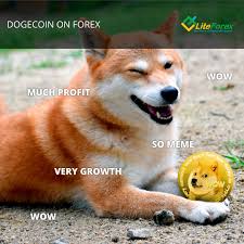 Wallpaper doge memes 1920x1080 owlshark14 1159267 hd. Liteforex Official On Twitter Humour Forex Make Money In The Cryptocurrency Market With Liteforex Https T Co Orkhame3dr Humourforex Forexmemes Forextrading Trading Tradingsignals Currency Trader Meme Memes Funny Fun Humour Humor