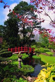 Japanese Garden At The Irish National Stud S Kildare Ireland Japanese Garden Irish Garden Beautiful Japanese Gardens