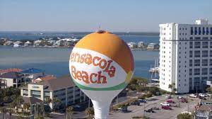Pet Friendly Hotel Pensacola Beach Fl Surf Sand Hotel Pensacola Beach Fl Sands Hotel Pet Friendly Hotels Pensacola Beach