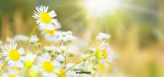 Maybe you would like to learn more about one of these? Spring Background Photos And Wallpaper For Free Download