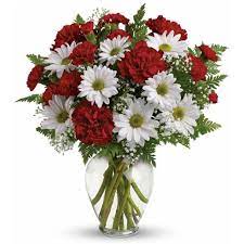 We did not find results for: Send Flowers Online 36 Flower Bouquets Under 40
