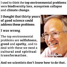 What's an environmental issue? — Gus Speth