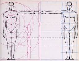 The human body is an example of nature's proportion. Drawing A Human Figure In Correct Measurements And Proportions With Archaic Calculations How To Draw Step By Step Drawing Tutorials