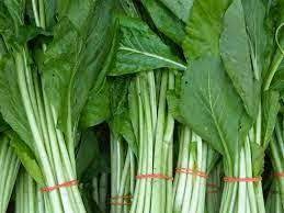 Budidaya Tanaman Sawi Sawi Adalah Kelompok Jenis Sayur Sayuran Yang Sering Dikonsumsi Oleh Kebanyakan Rumah Tangga Sawi Yang Lebih Ban Sayuran Tanaman Jenis