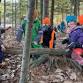 Weekly Tiny Piney Playgroup with White Pine Programs event image