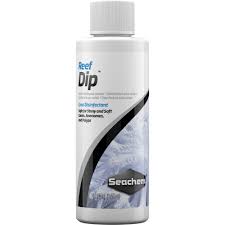Personally collect and design top free fire pro player names 2021 and those names Seachem Reef Dip Coral Disinfectant 3 4 Fl Oz Petco