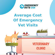 While on average, routine annual veterinary care might cost between $200 to $400 for dogs and $90 to $200 for cats, unplanned events such as accidents, injuries, or if your pet does have an emergency, you can minimize costs by providing the vet with as much specific information as possible. Average Cost Of Emergency Vet Visits In A City Near You