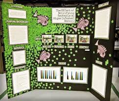 Thematically Decorated Science Fair Display Board Science Fair Projects Science Fair Projects Boards Science Fair Display Board