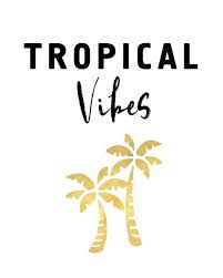 Tropical Vibes Palm Trees And Beaches Photographic Print By Deificusart Palm Tree Quotes Tropical Quotes Travel Quotes Tumblr