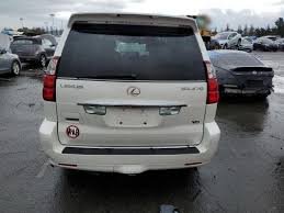 Image result for Blizzard 2009 GX