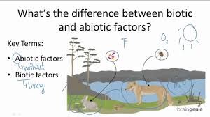 Both abiotic and biotic factors determine both where an organism can live and how much a population can grow. 14 1 2 What S The Difference Between Biotic And Abiotic Factors Youtube