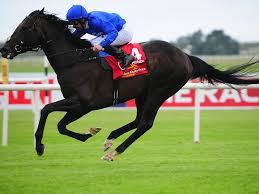 Get the latest news, stats, videos, highlights and more about midfielder jack beaumont on espn. Jack Hobbs Faces Crucial Arc Prep Horse Racing Gulf News