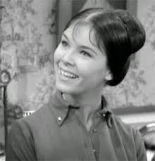 Television's New Frontier: The 1960s: The Many Loves of Dobie Gillis (1960)