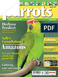 How to replace kitchen cabinet doors, drawers and hardware 04:47. Parrots 2016 04 Englishmagazines Parrot Birds